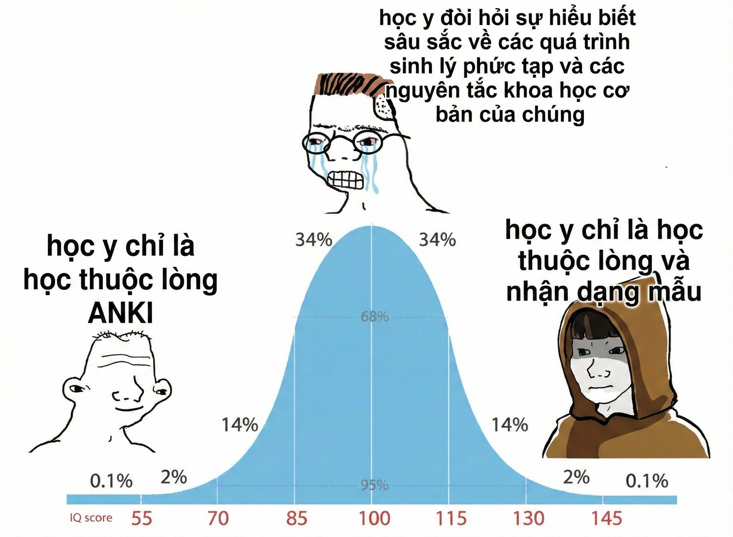 Minh họa nguyên tắc học trước khi ghi nhớ với Anki