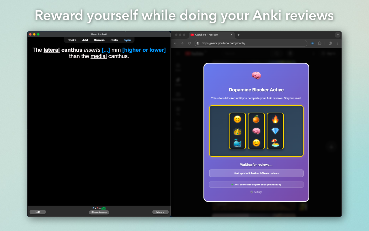 Nucleus Accumbens Screenshot 1