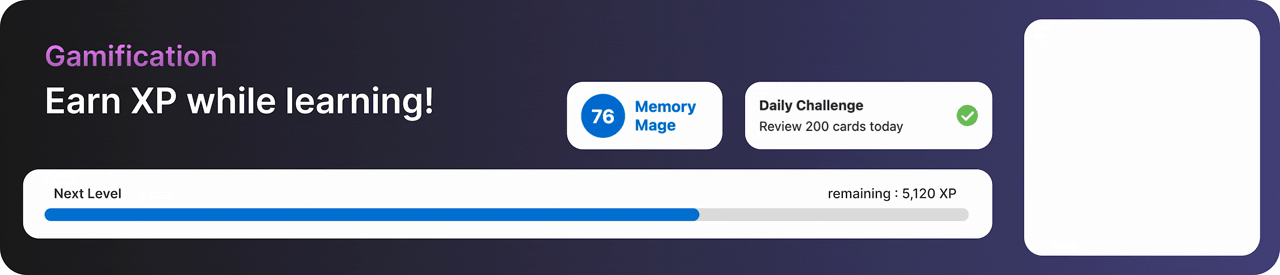 Hệ thống gamification XP và hạng bậc trong SynapsePro