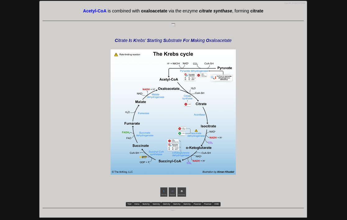Screenshot Card Export