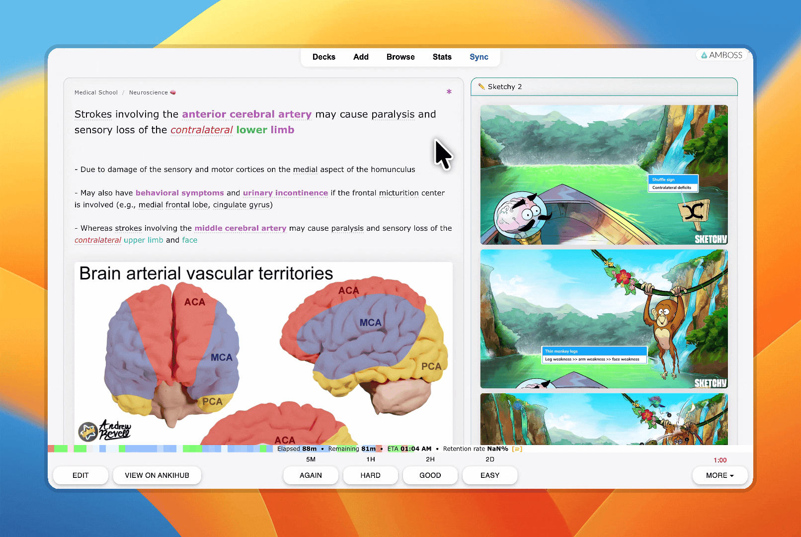 Demonstration showing how AMBOSS tooltips require a click instead of hover