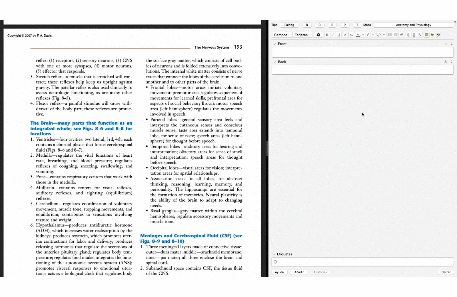FlashCard GPT interface