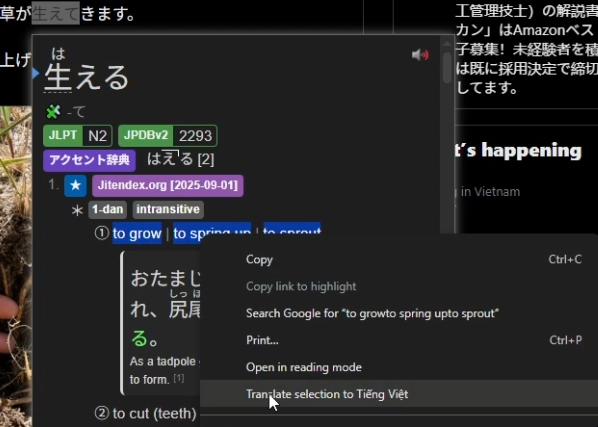 Mẹo: bôi đen nghĩa tiếng Anh → Translate selection to Tiếng Việt