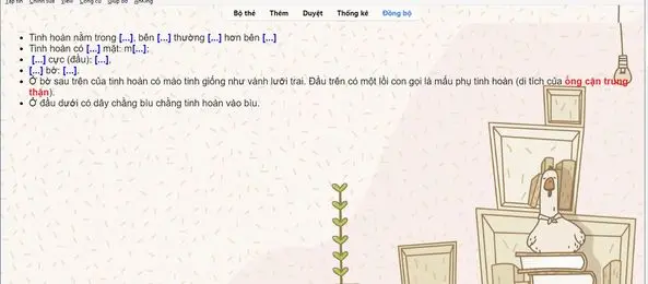 Bộ thẻ Anki Giải Phẫu Ngực Bụng & Thần Kinh - Preview 1