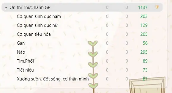 Bộ thẻ Anki Giải Phẫu Ngực Bụng & Thần Kinh - Preview 2