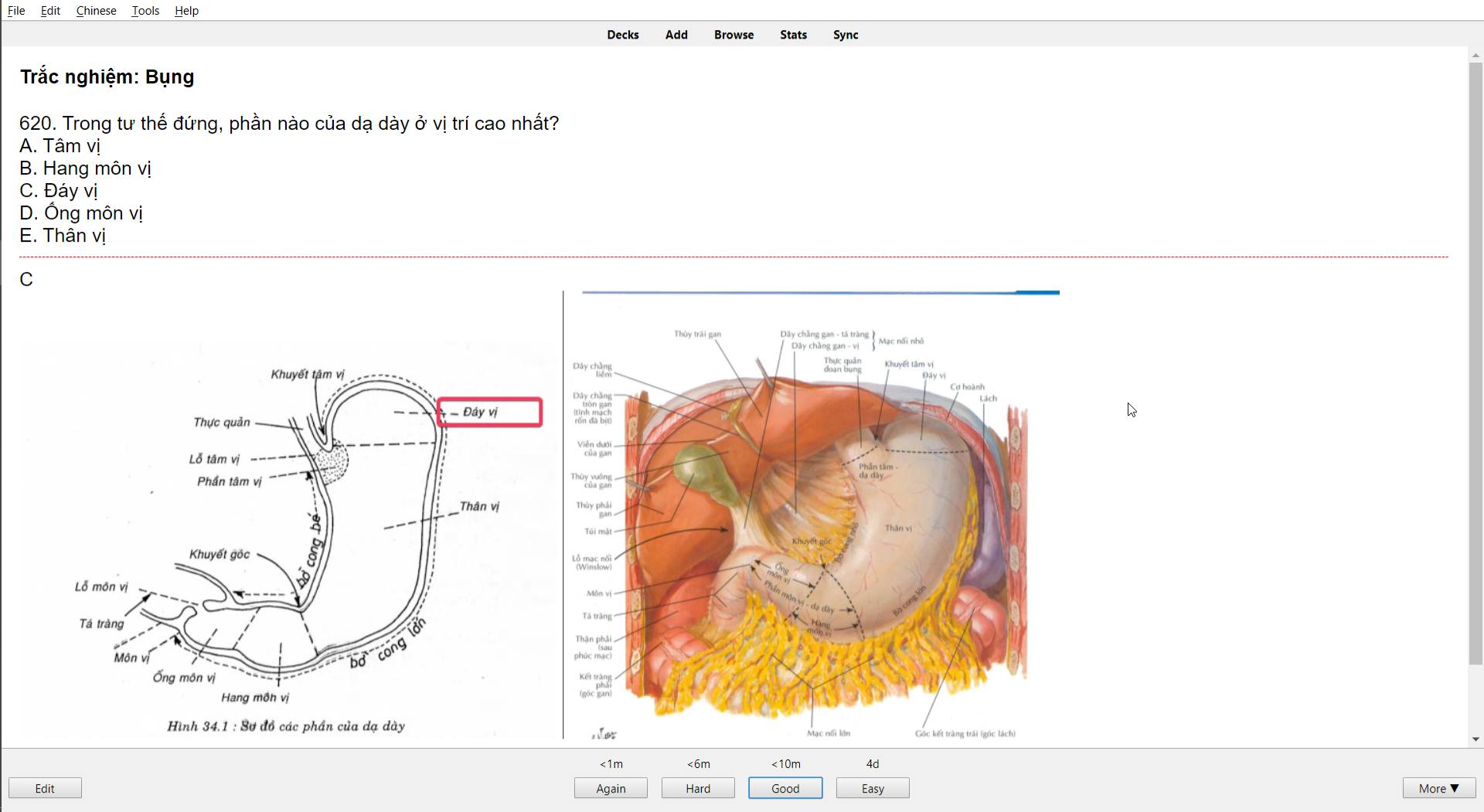 Bộ thẻ Anki CK1 Giải phẫu 2019 - preview 2