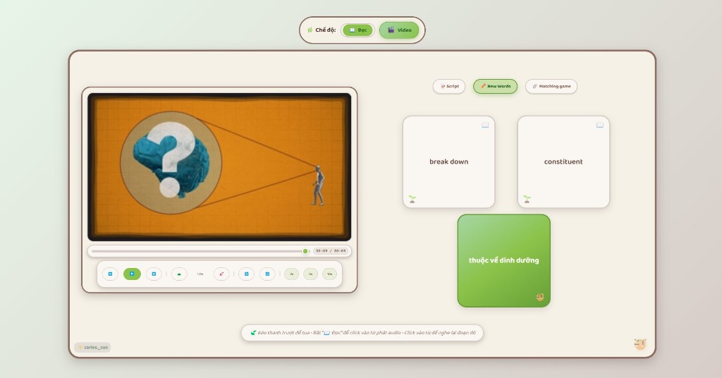 Mặt sau – Tab New Words (flashcard mini từ JSON)