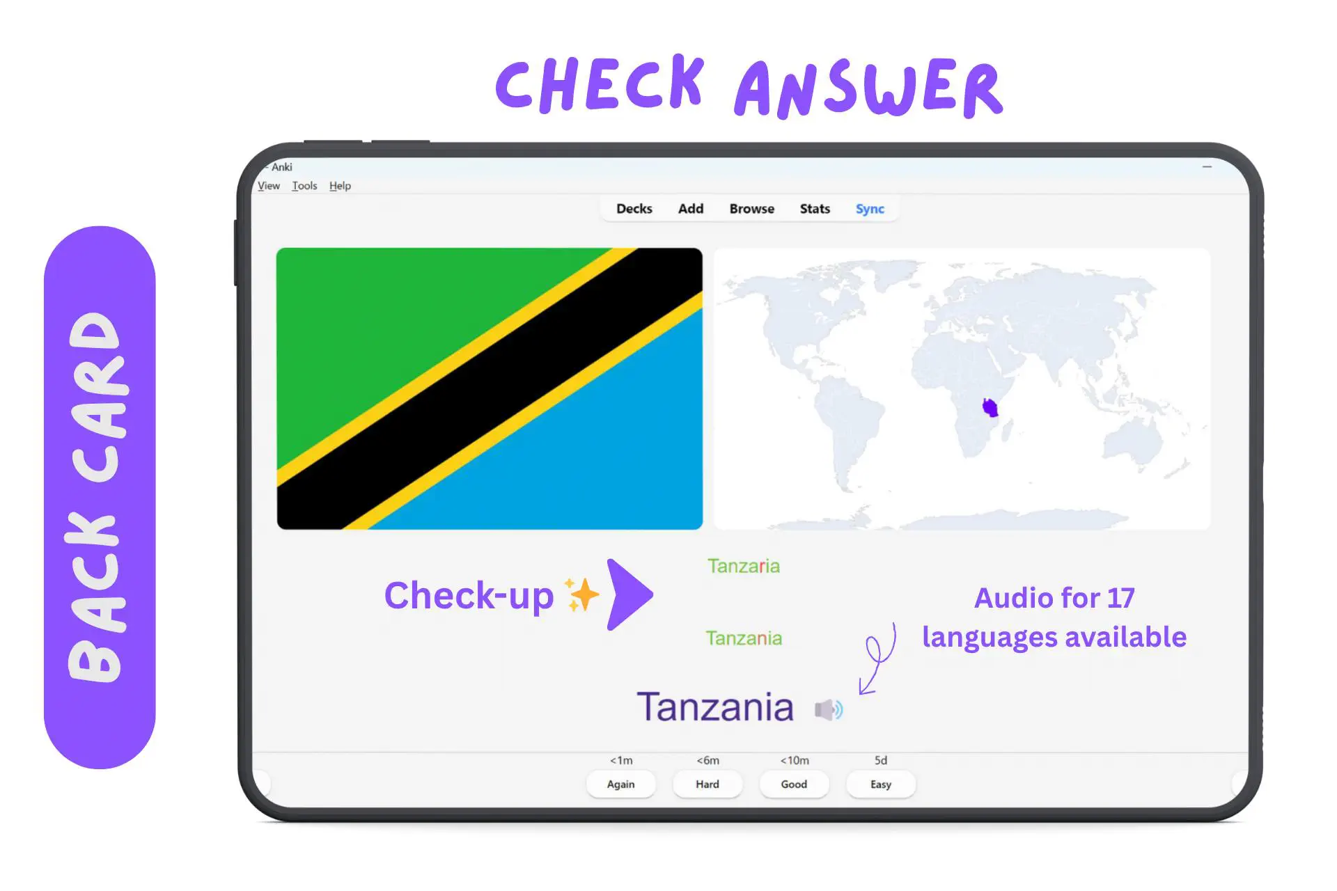 Mặt sau thẻ Anki với thông tin tổng quan (Overview)